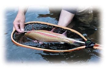 ACCESSORIES - HANDI-MEASURE