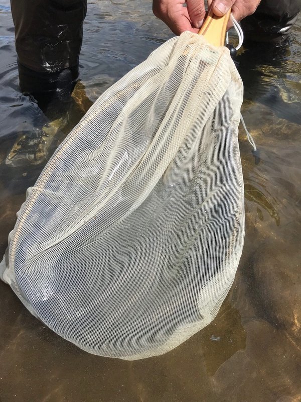 ENTOMOLOGY GEAR - LANDING NET SEINE