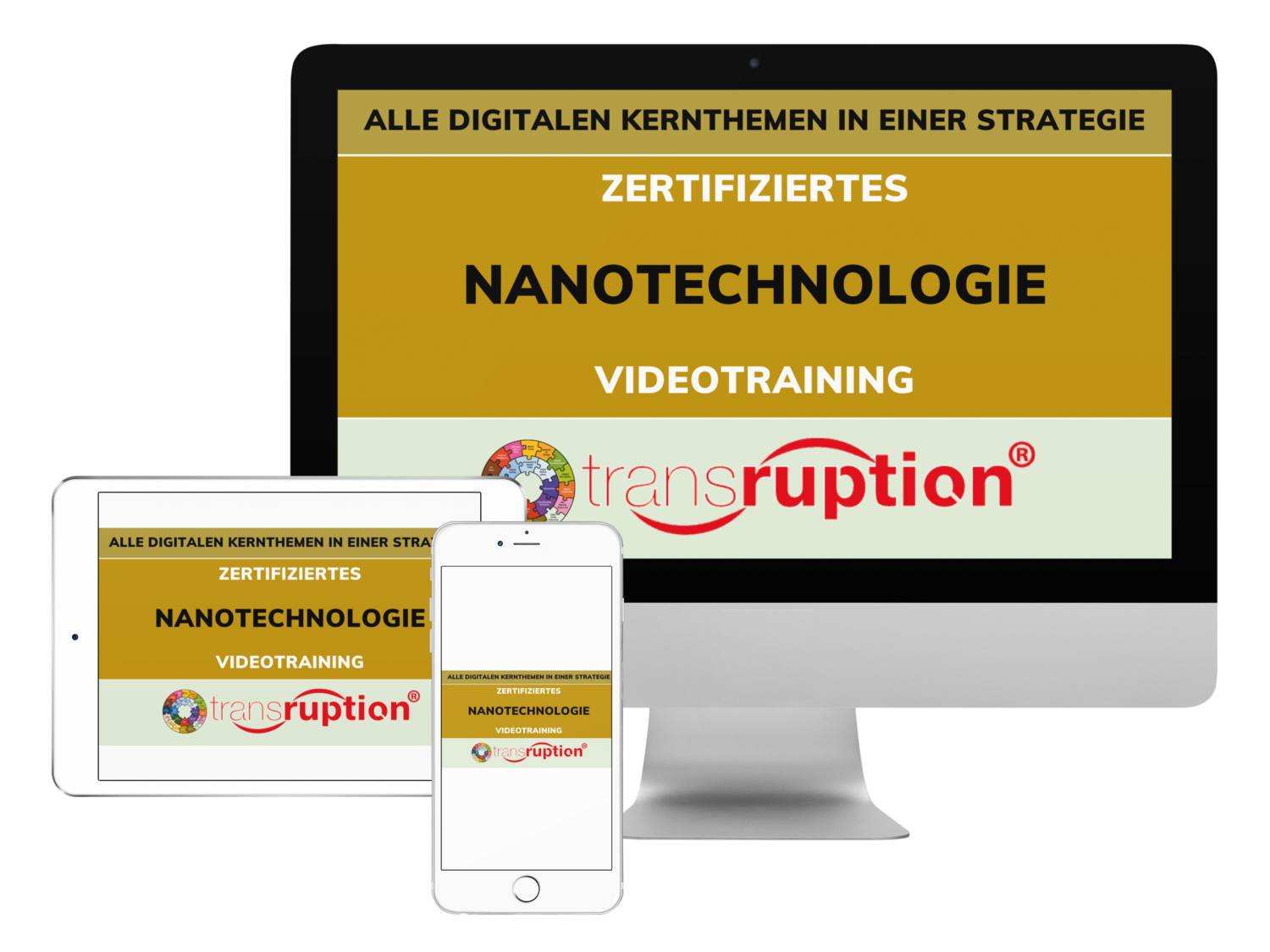 Online Zertifizierung: Nanotechnologie inkl. eBook (DE)