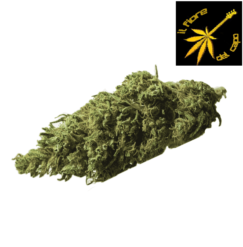 SATIVA LEMON