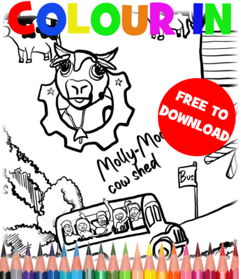 "WORLD OF MARTY MACDONALD'S FARM" COLOUR-IN MAP - FREE!