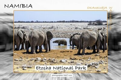 Wandbild Alu-Dibond Namibia "Etosha"