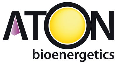 Vitamin C hochdosiert 1000 mg (100 Tabletten)