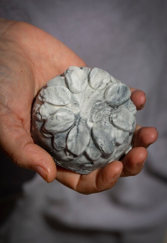 Peppermint and Charcoal Salt Soap