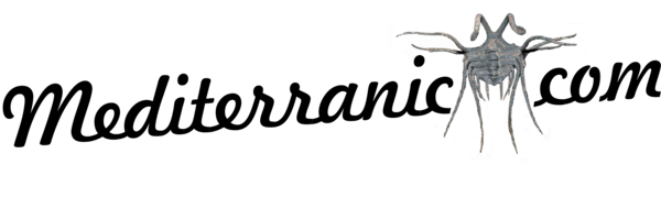 Mediterranic Store