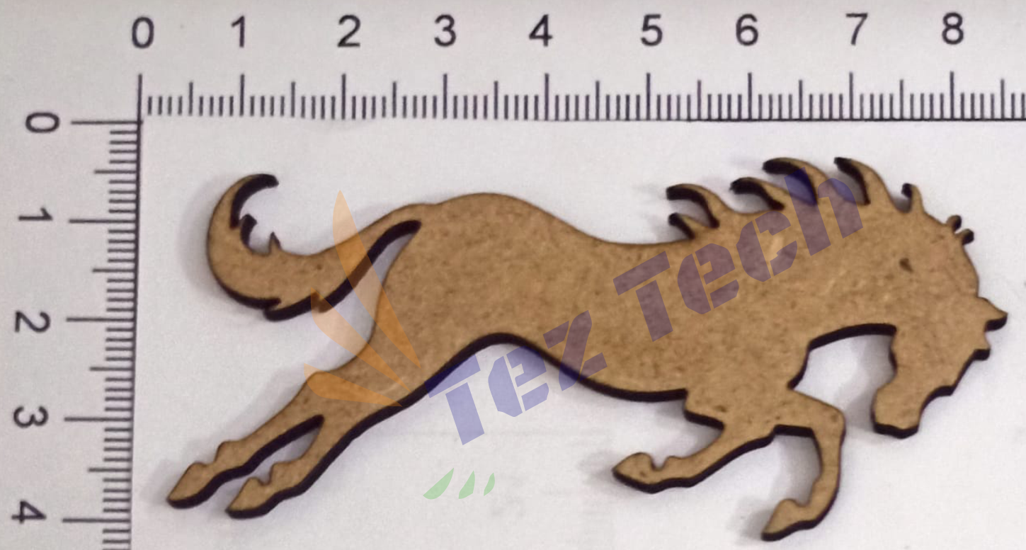 ANML1A ANIMAL DESIGN