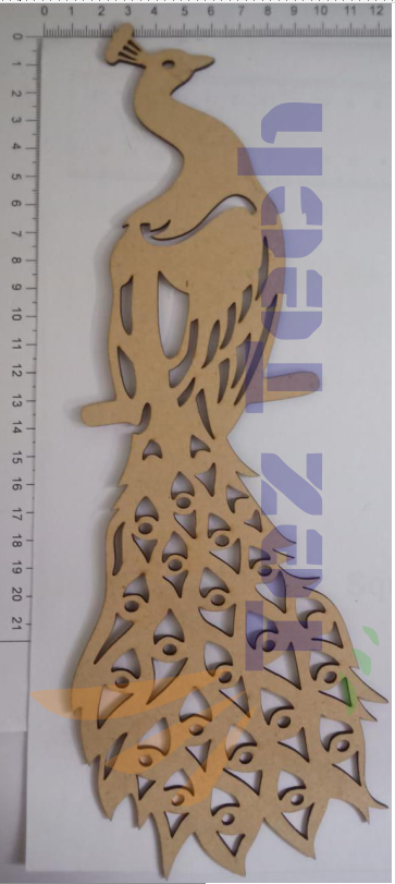 BRD4A BIRDS DESIGN