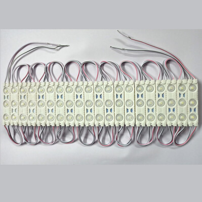 (LMS2) 12v WHITE COLOR LED MODUAL SET OF 3LED,20 MODUAL PER STRAP