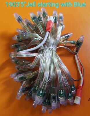 1903 PIXEL LED