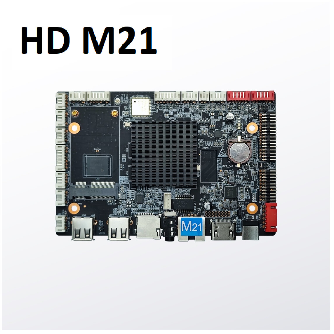 (SLC52)  HD M21