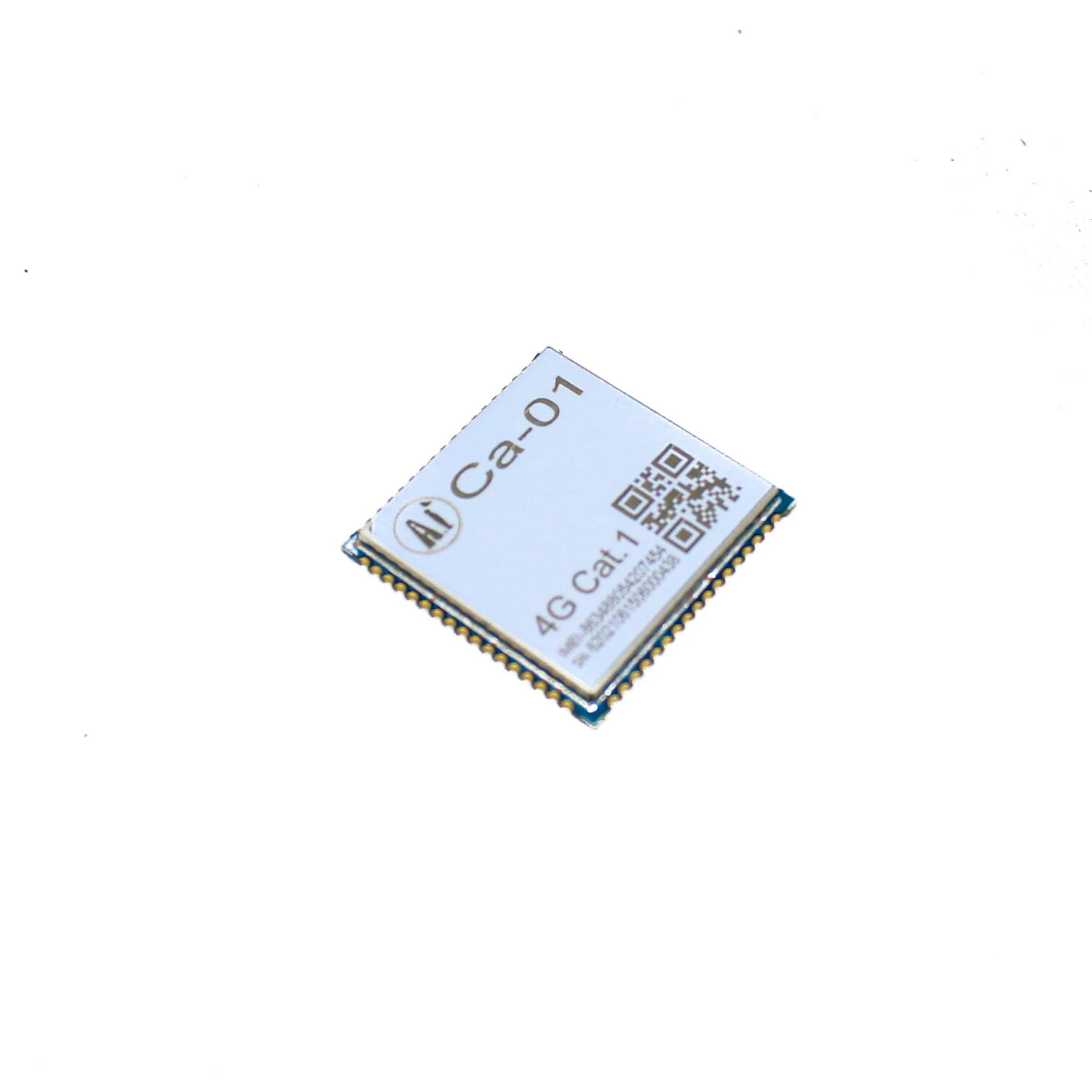 (MS165) CA-01 V1