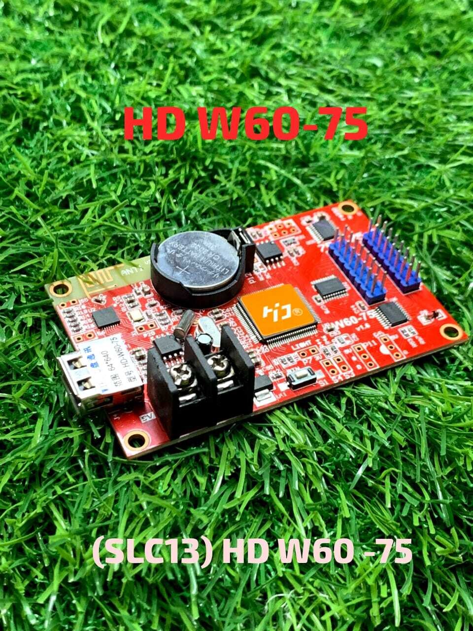 (SLC13) HD W60 75