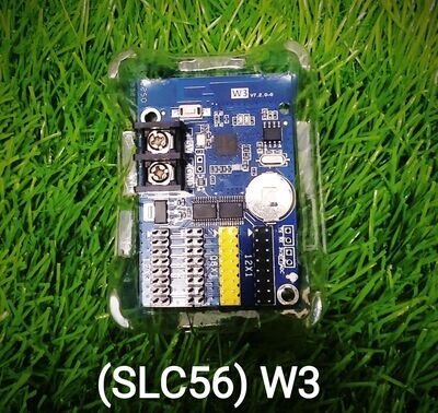(SLC56) W3