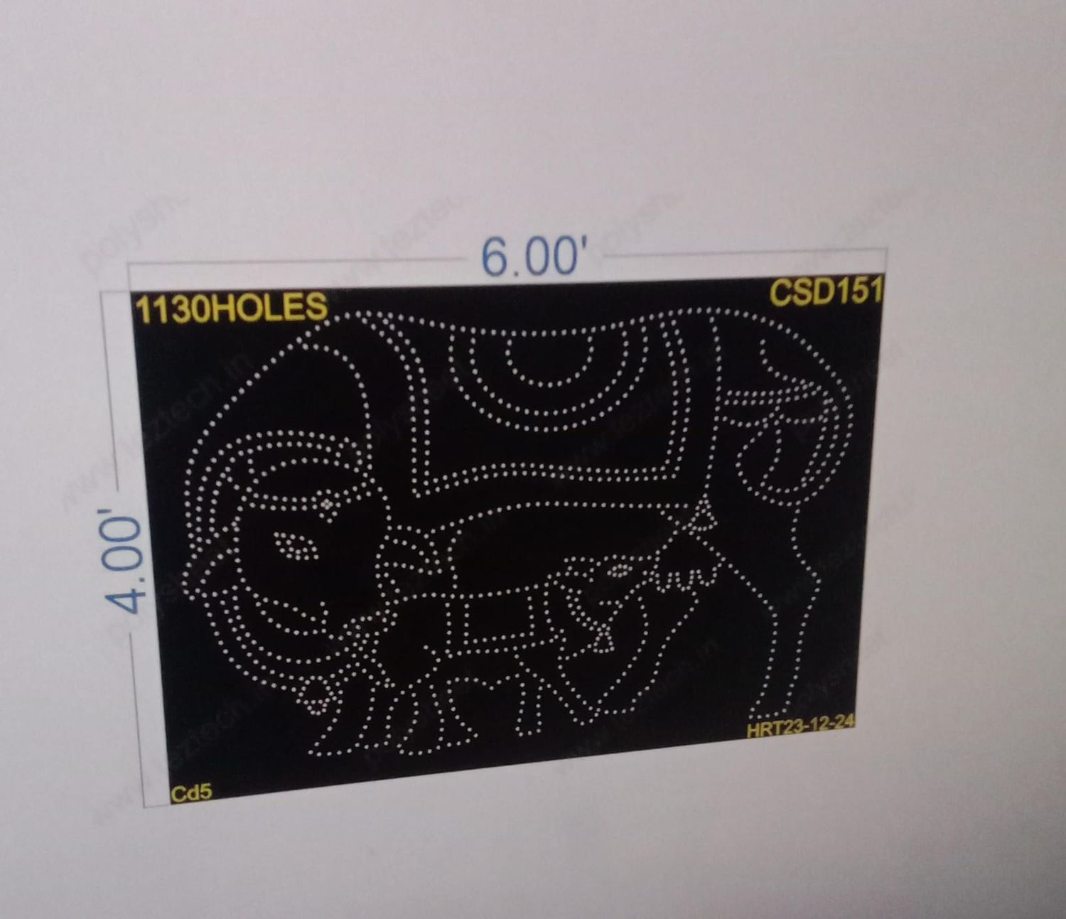 CSD151  CUSTOM DESIGNE  4X6  FEET 1130 HOLES