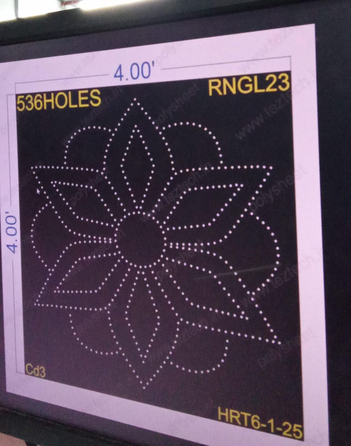 RNGL23  RANGOLI  4X4 FEET 536 HOLES
