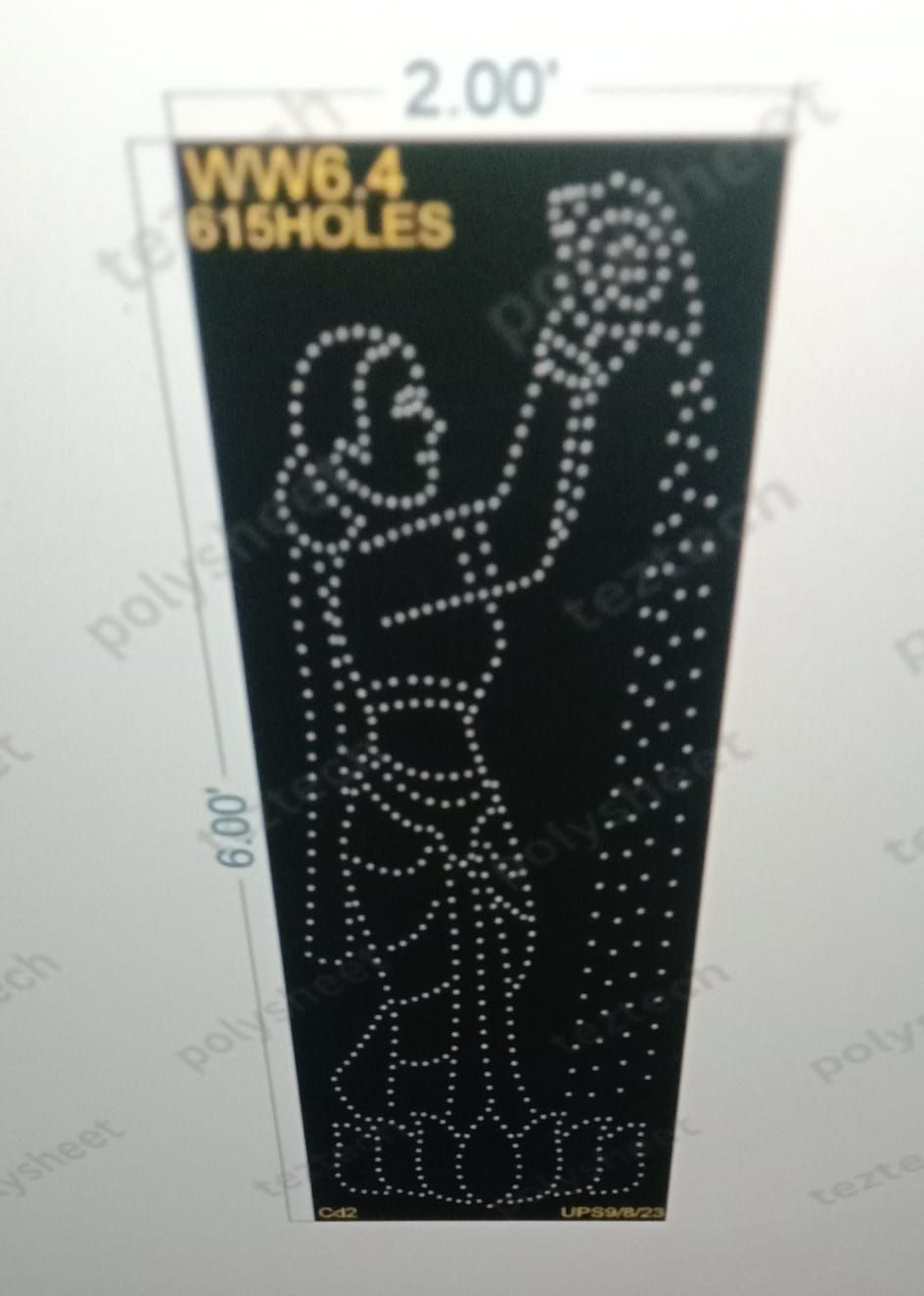 WW6.4 WELCOME WOMAN 6X2 FEET 615 HOLES