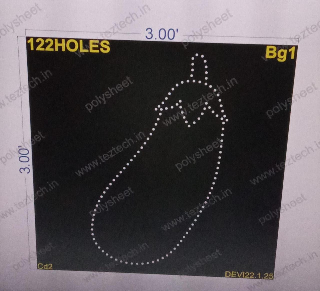 BG1 brinjal  1 PART 3X3 FEET 122 HOLES