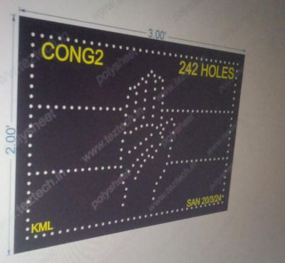 CONG2 CONGRESS 2X3 FEET 242 HOLES