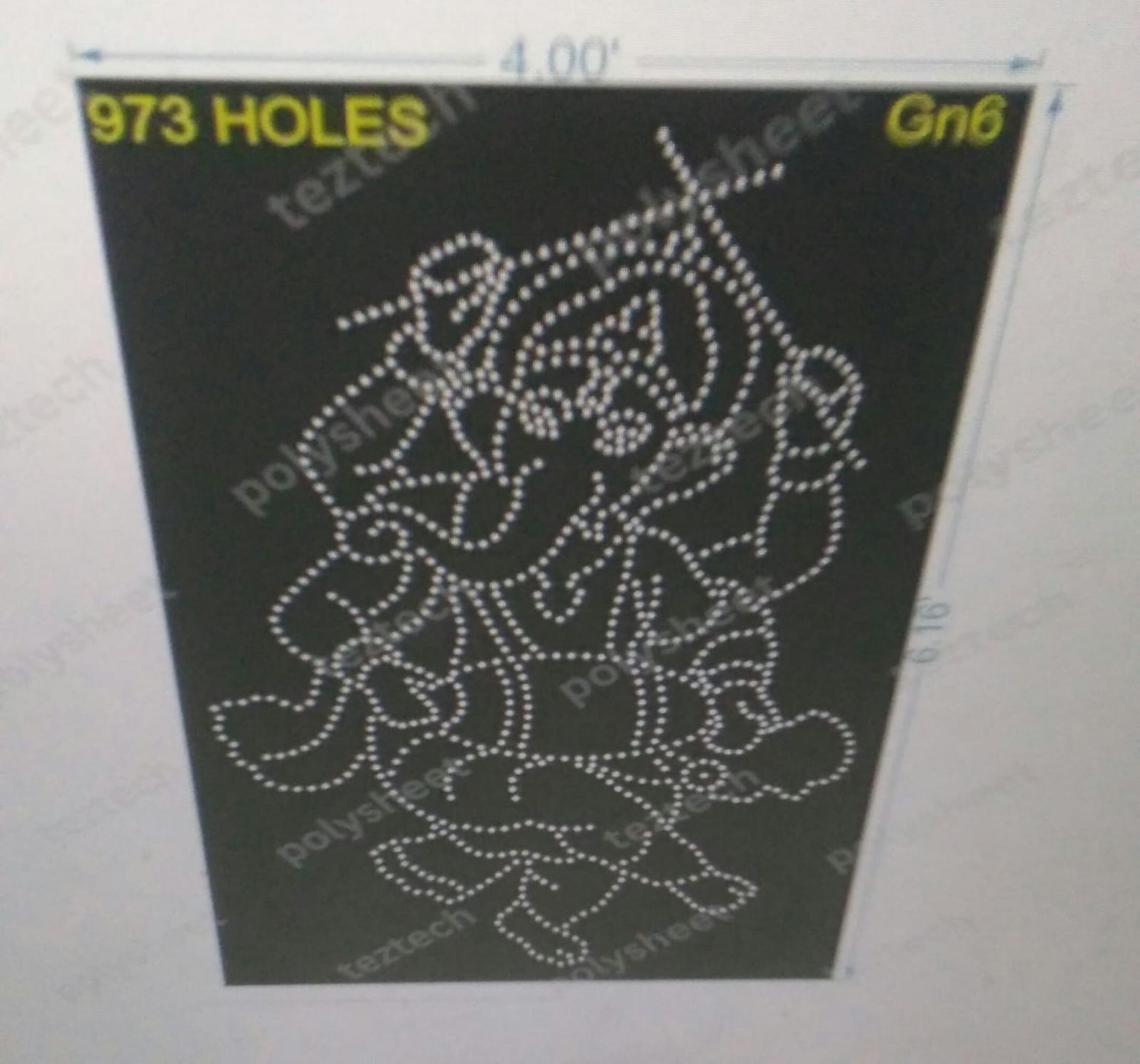 GN6	GANESHJI6 6.16X4 FEET 973 HOLES
