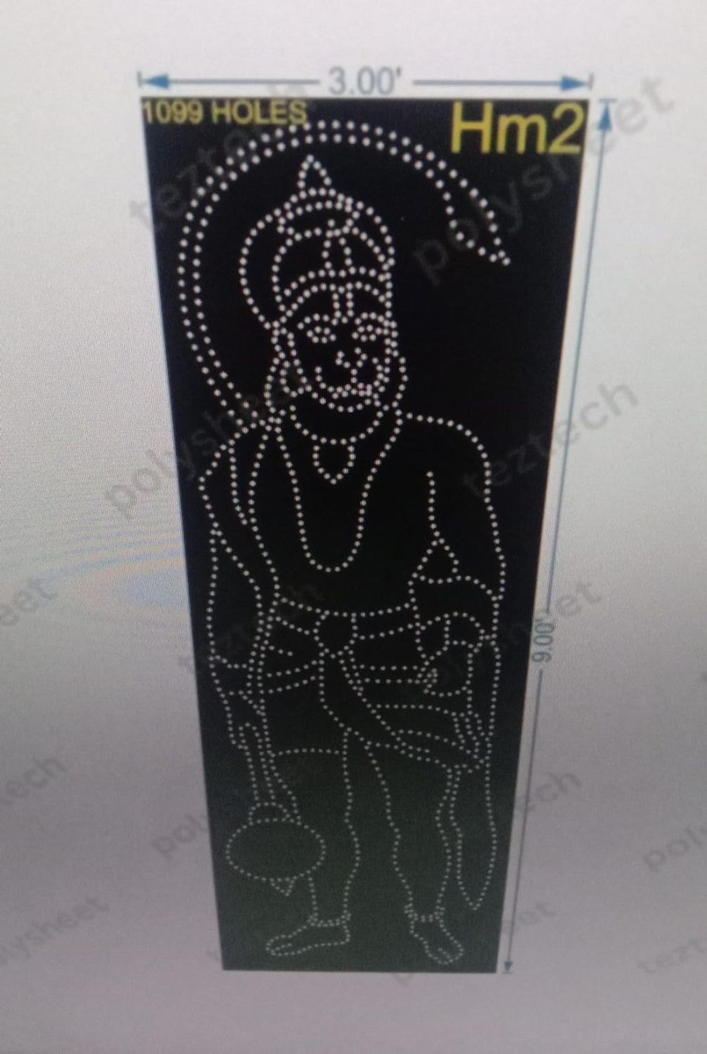 HM2 HANUMANJI  9X3 FEET 1099 HOLES