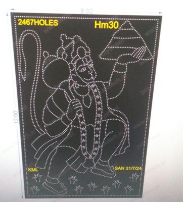 HM30 HANUMANJI 12X8 FEET 2467 HOLES