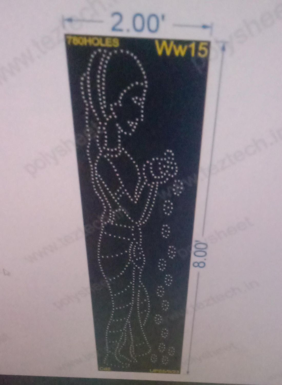 WW15 WOMEN WITH WATER 8X2 FEET 780 HOLES