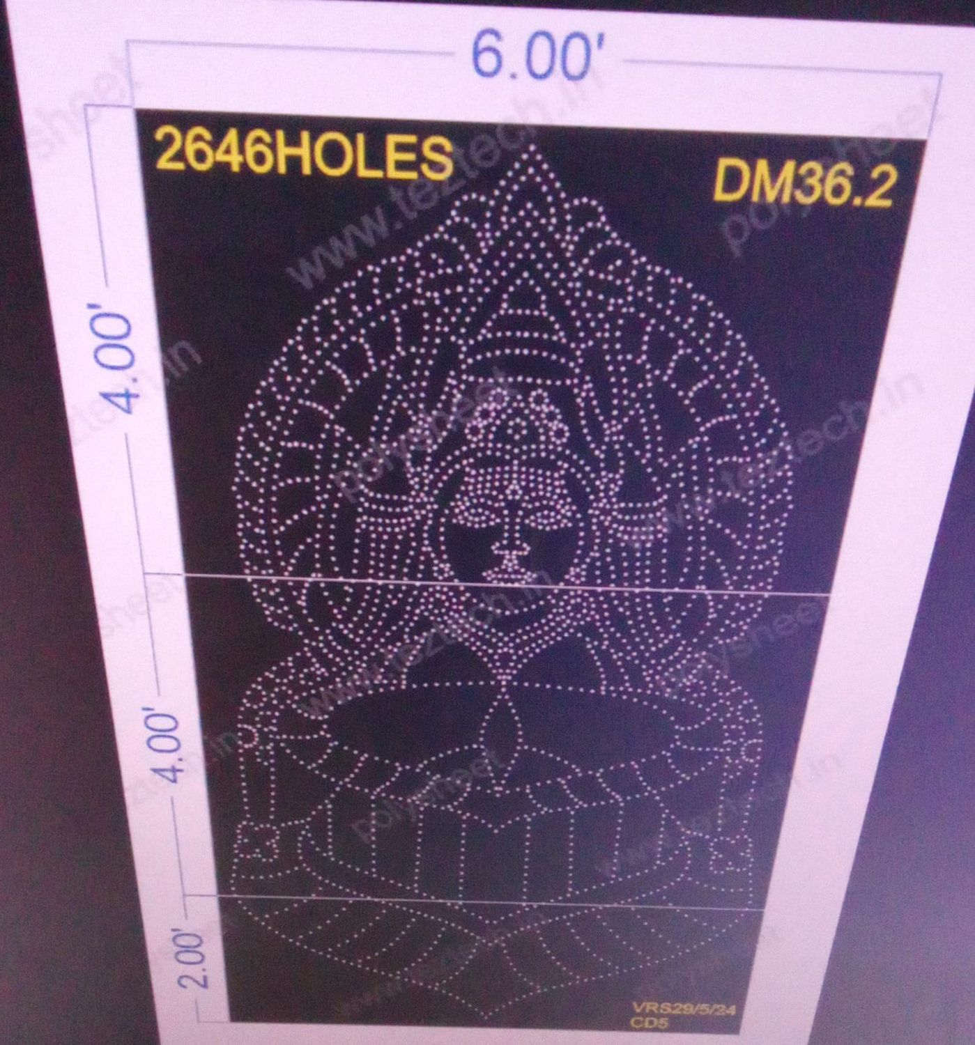 DM36.3 DEVI MATA 10X6 FEET 2646 HOLES