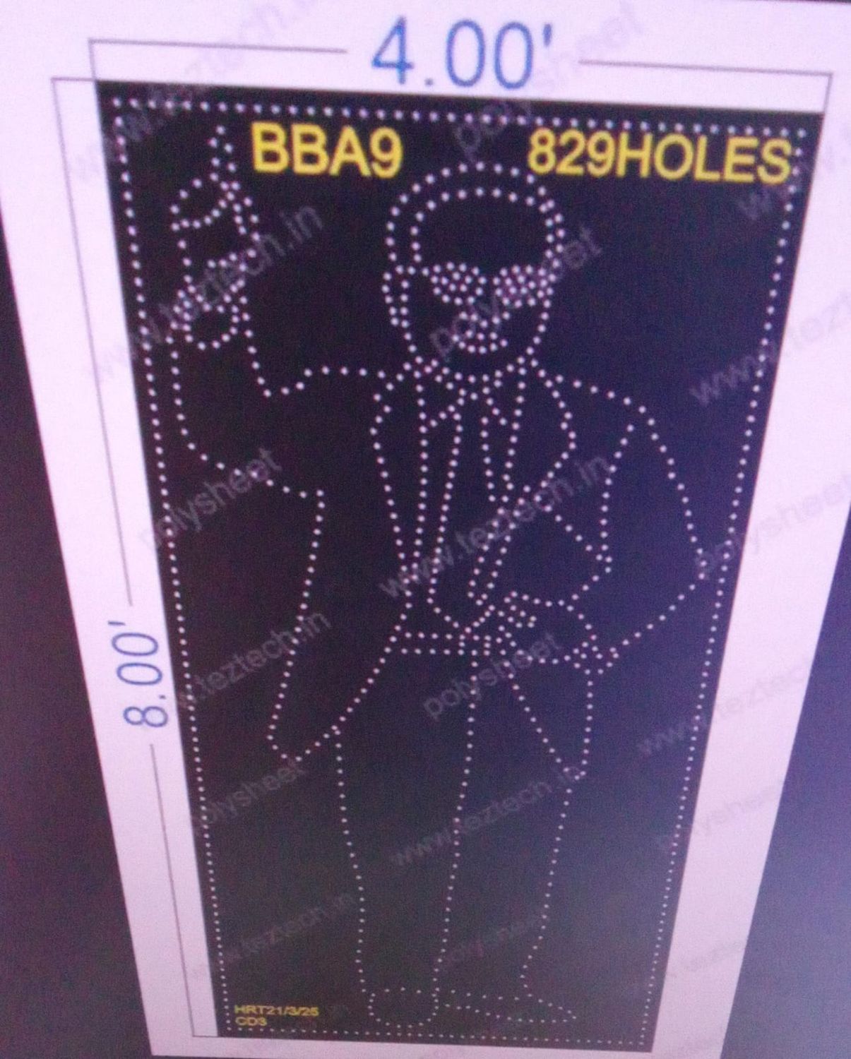 BBA9  BABA SAHEB AMBEDKAR 8X4 FEET 829 HOLES