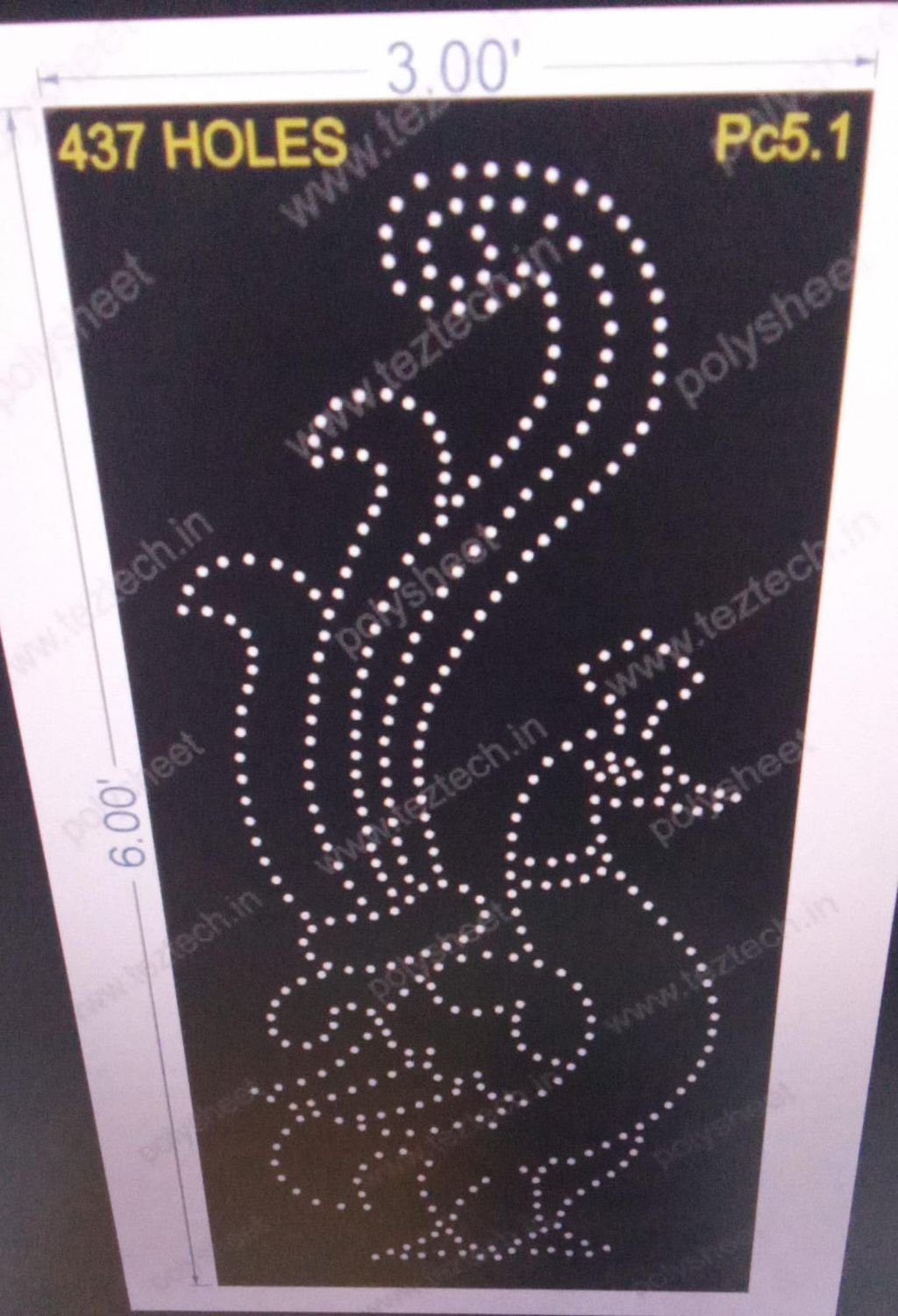 PC5.1 PEACOCK 6X3 FEET 437 HOLES