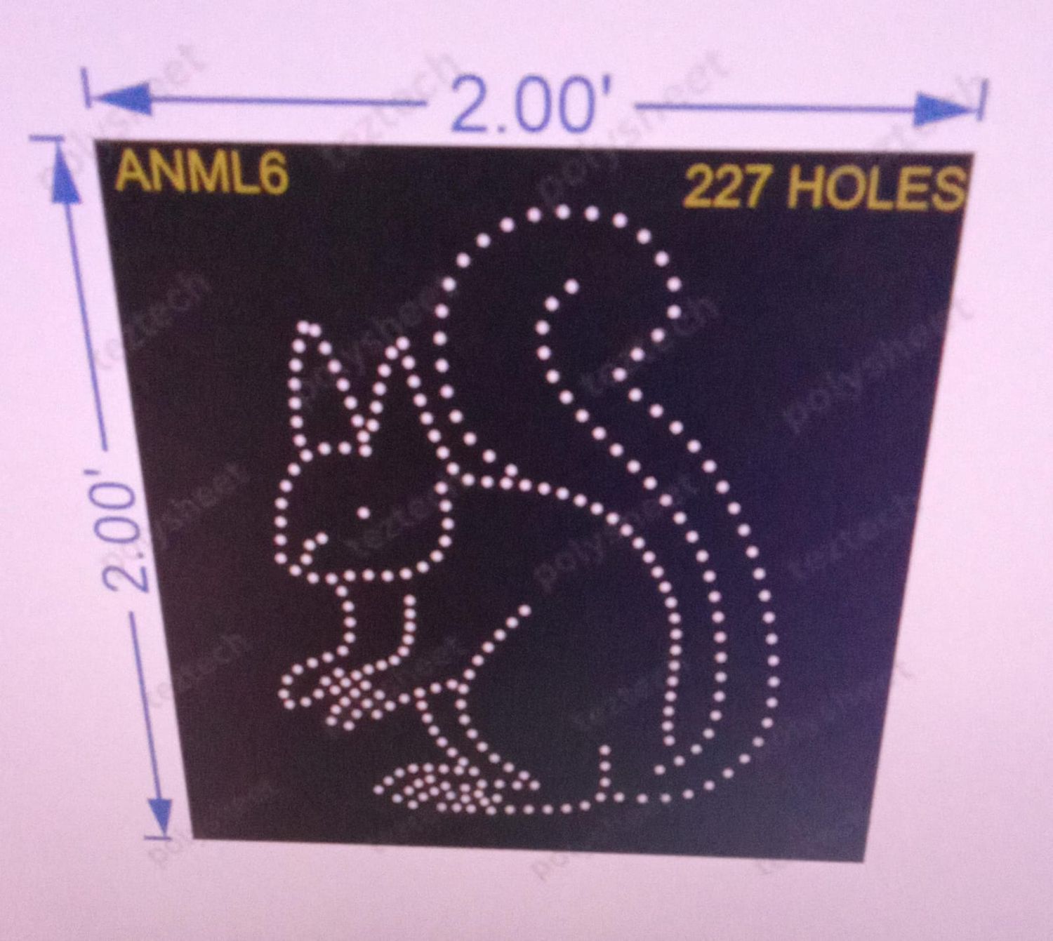 ANML6 SQUIRREL 2X2 FEET 227HOLES