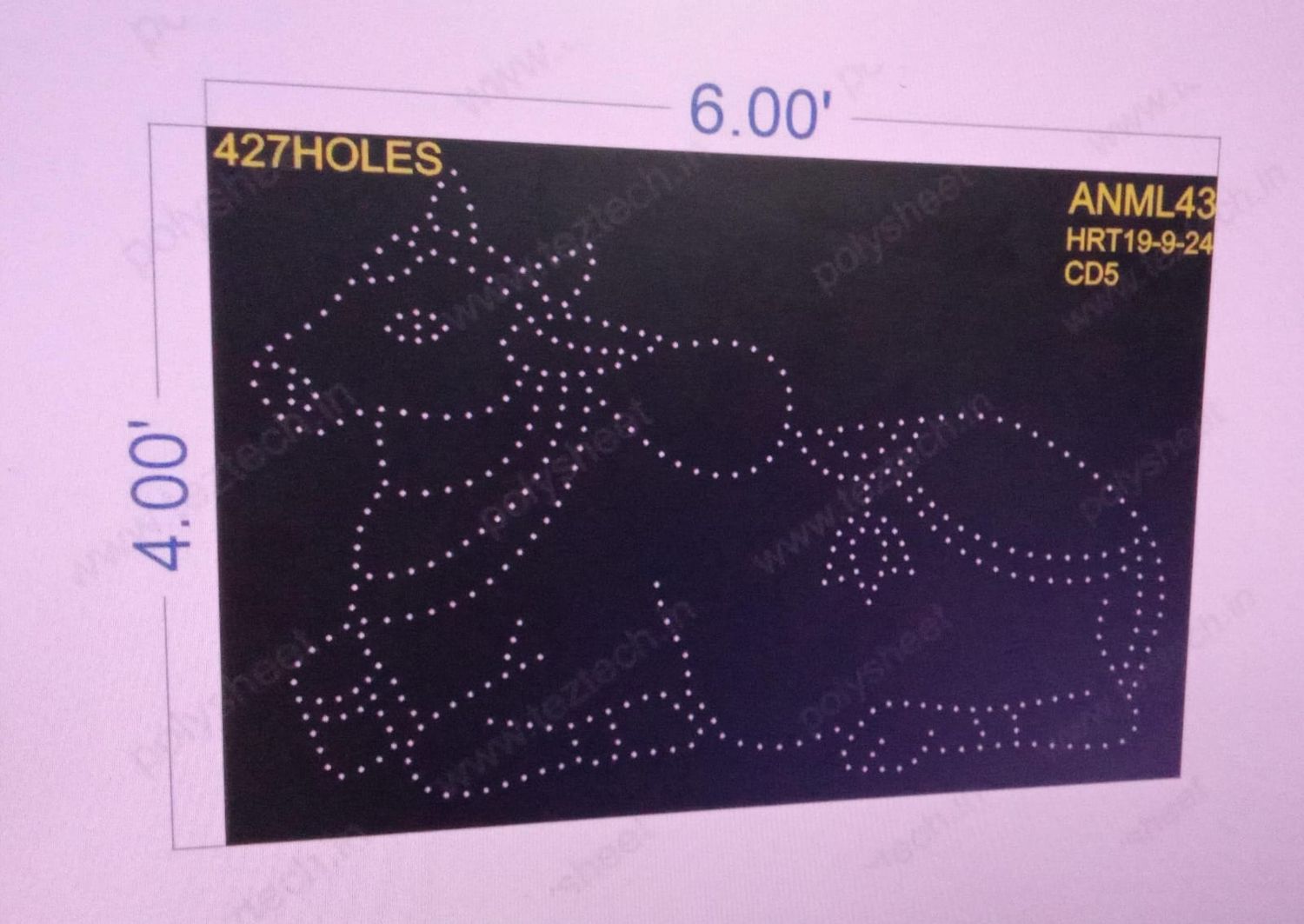 ANML43 NANDII 6X4 FEET 427 HOLES