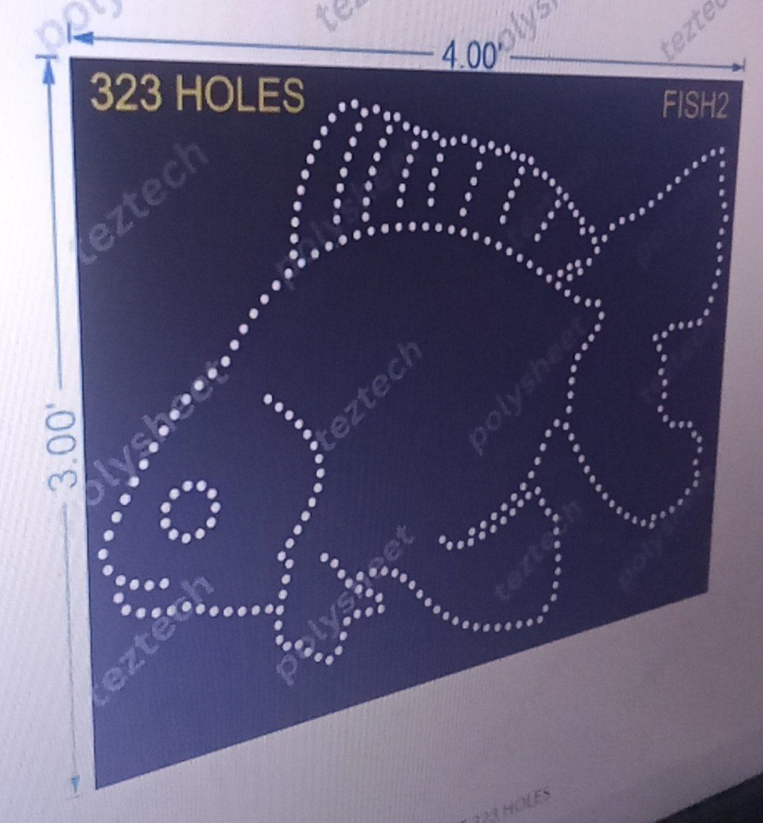 FISH2  FISH  3X4 FT  323 HOLES