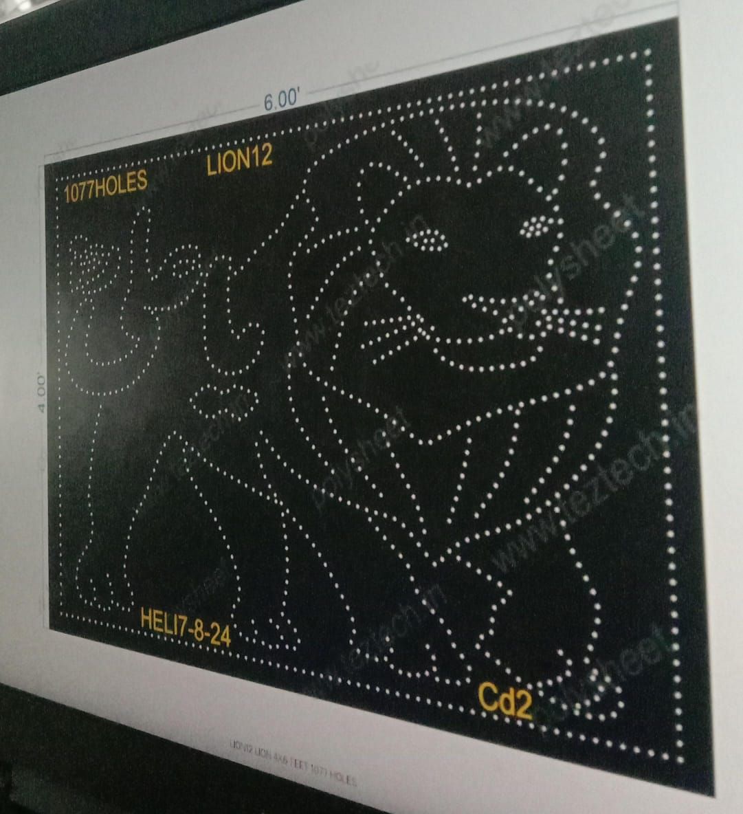 LION12 LION 4X6 FEET 1077 HOLES