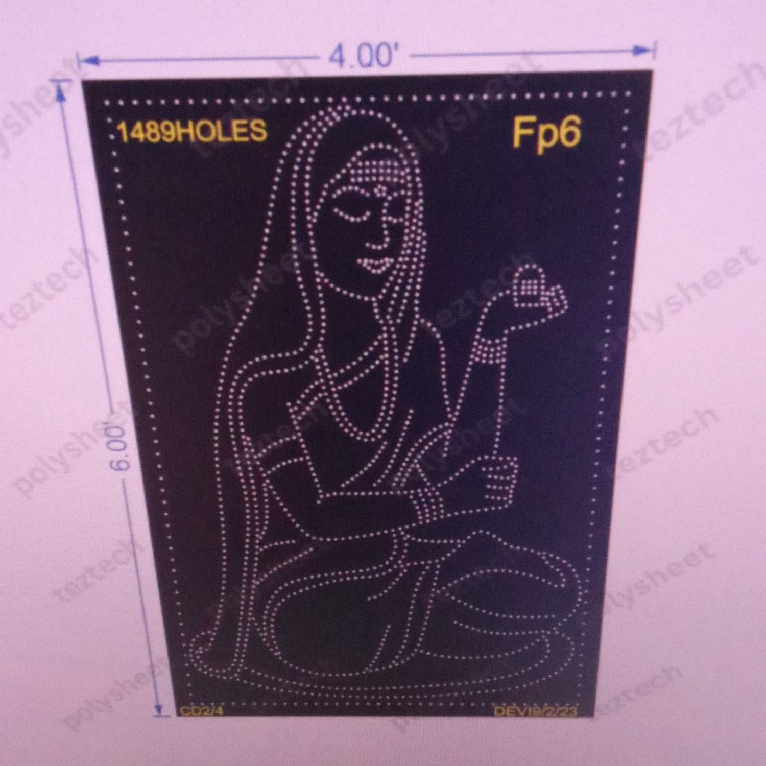 FP6 HEMAREDDY MALLAMMA 6X4 FEET 1489HOLES