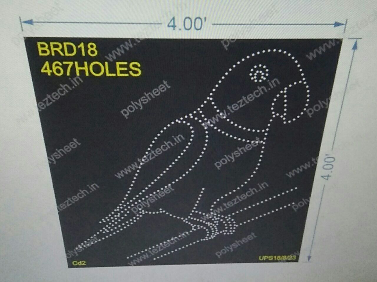 BRD18 PARROT 1 PART 4X4 FEET 467 HOLES