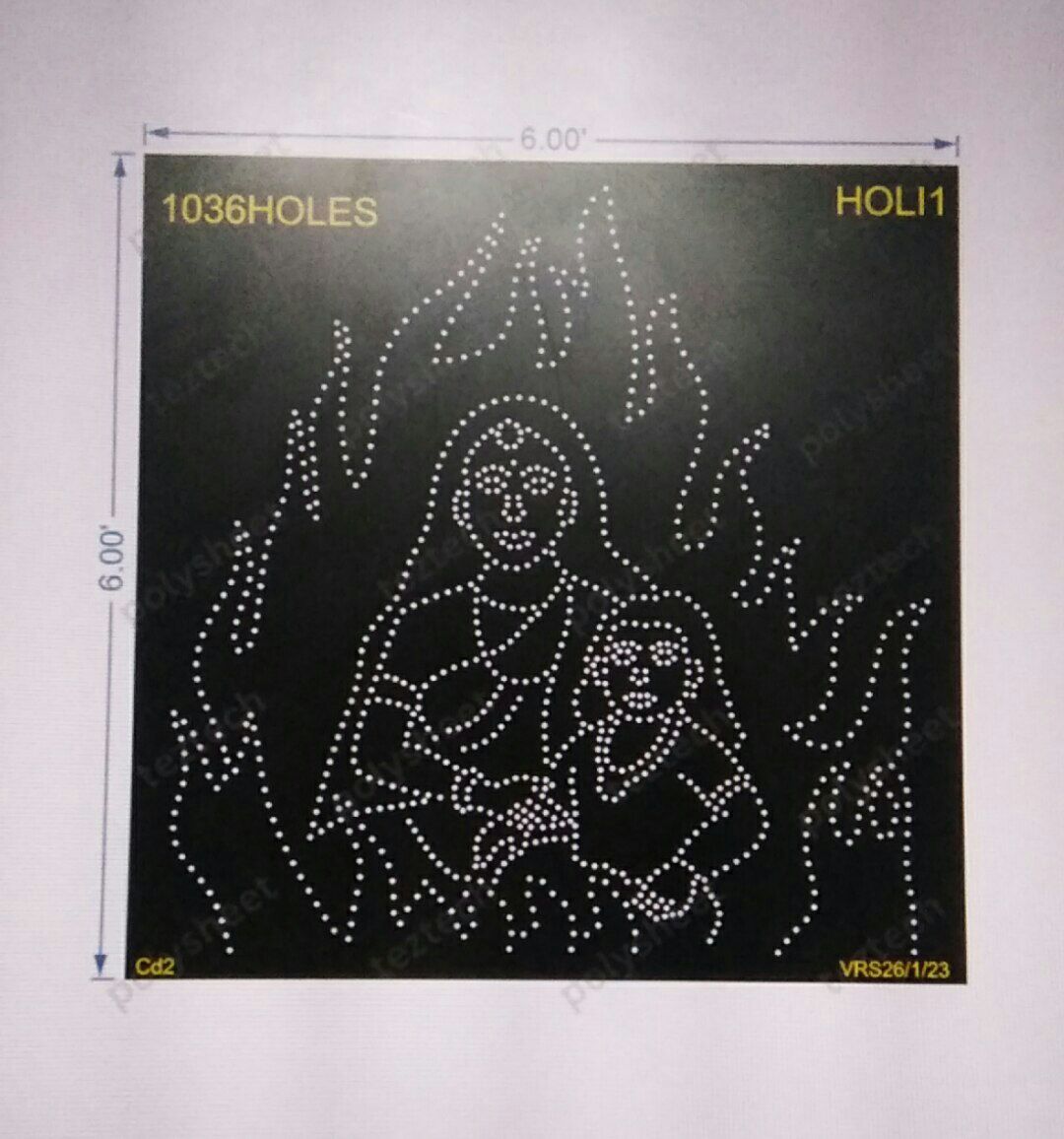 HOLI1 HOLIKA DAHAN 6X6 FEET 1036 HOLES