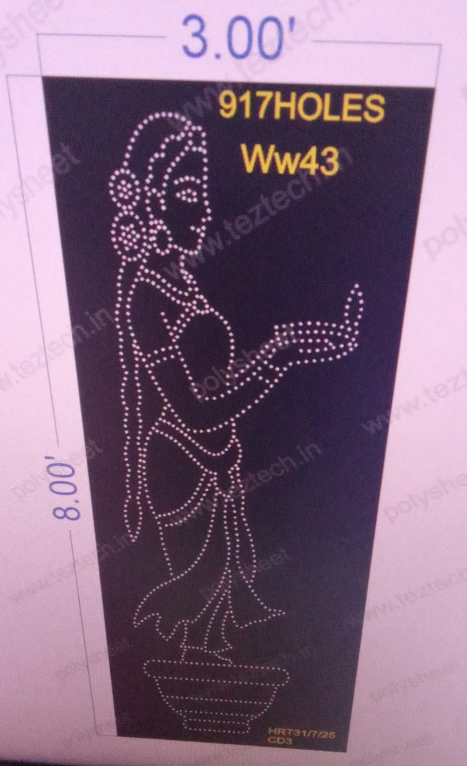 WW43  WOMEN WITH DIPAK  8X3  FEET 917 HOLES