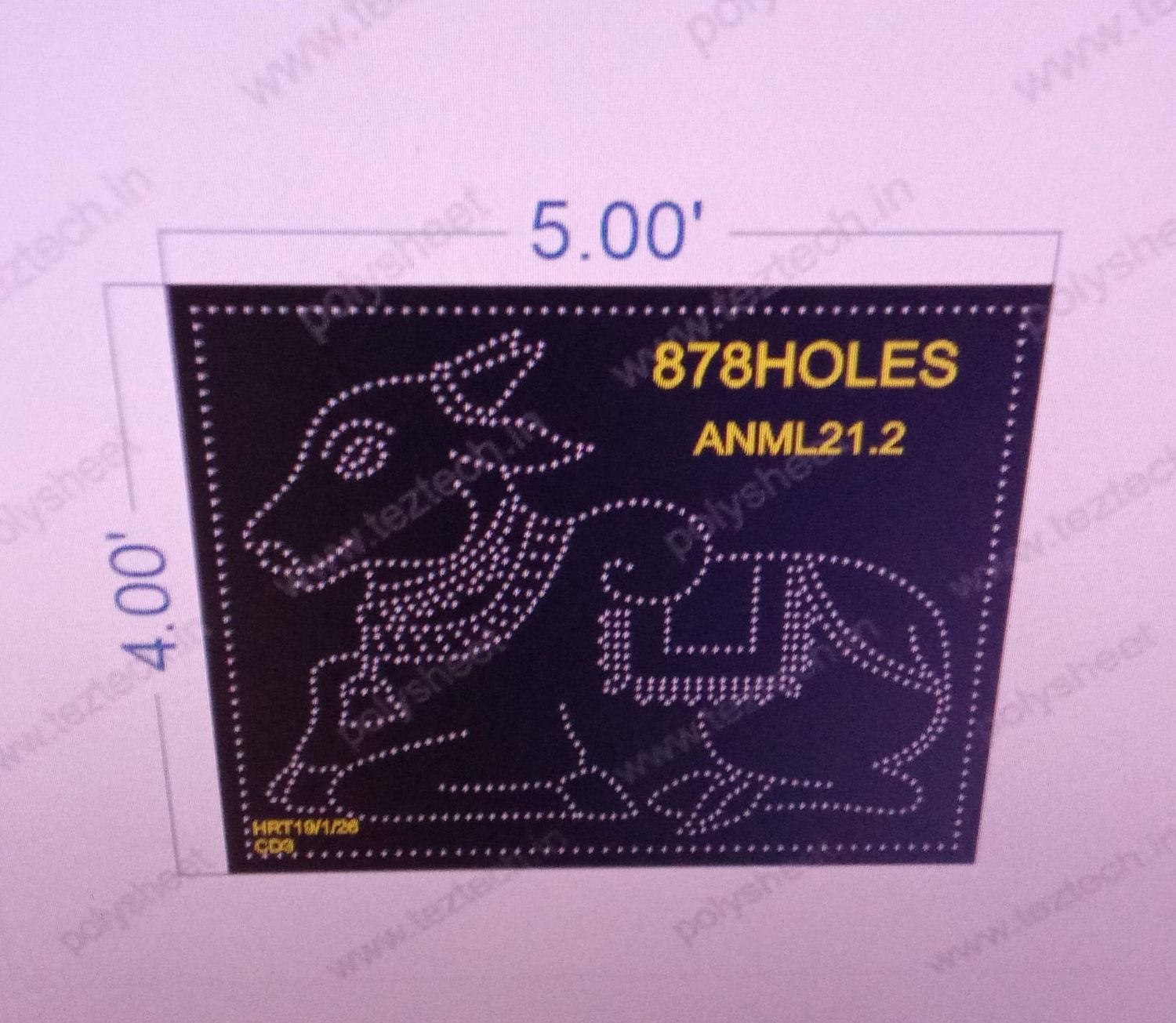 ANML21.2 NANDI 4X5 FEET 878 HOLES