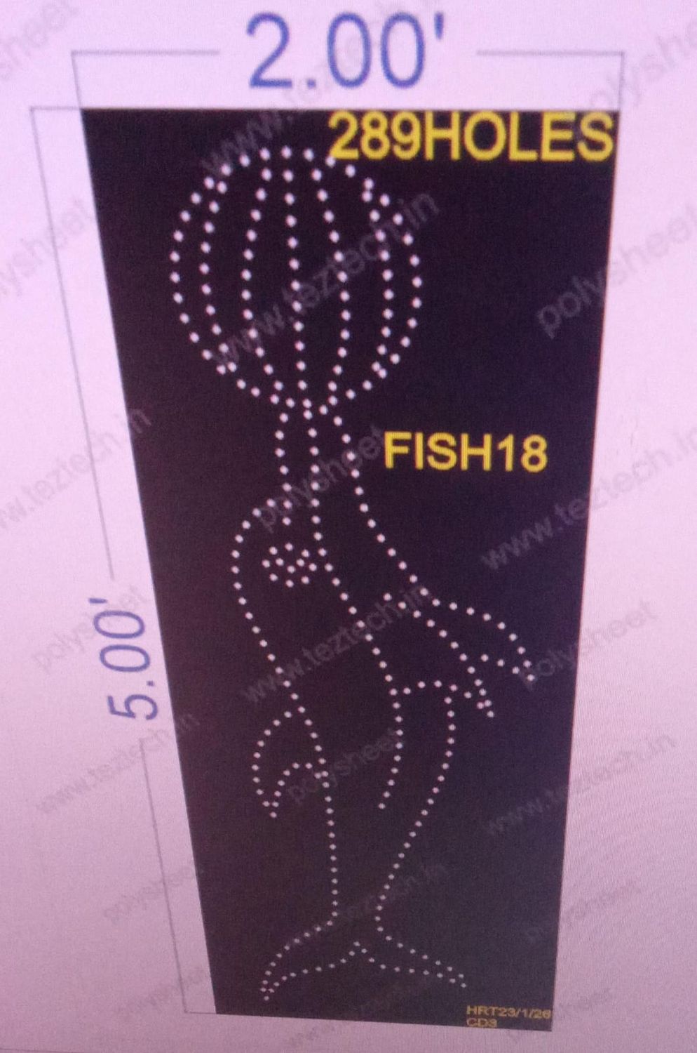 FISH18  FISH 5X2  FEET 289 HOLES