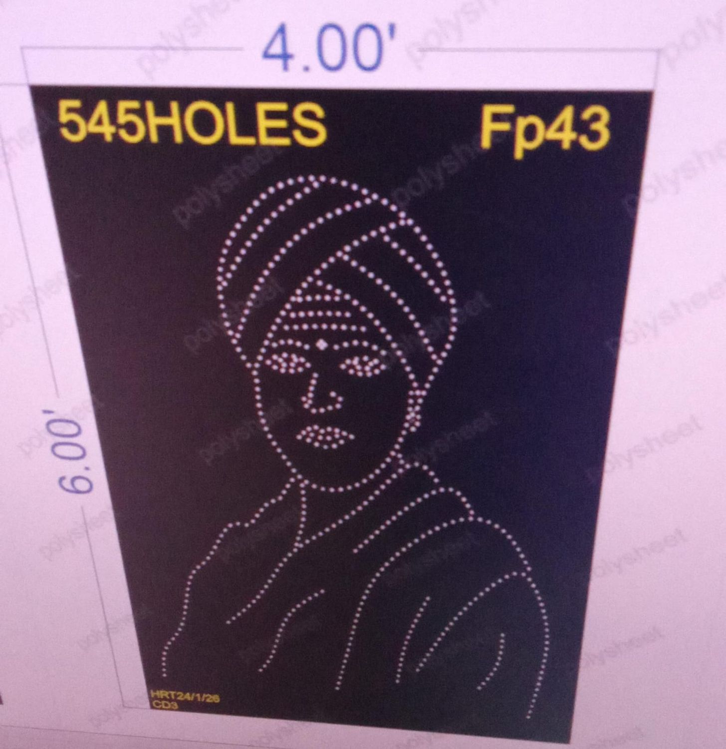 FP43  FAMOUS PEOPLE 6X4 FEET 545 HOLES