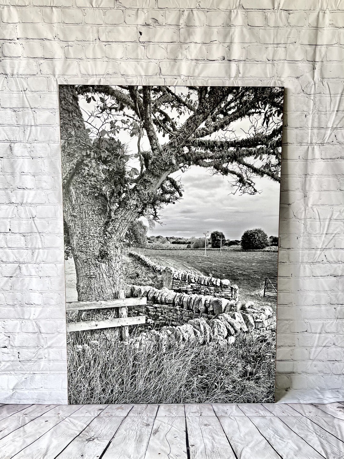 Scotland Fields Print