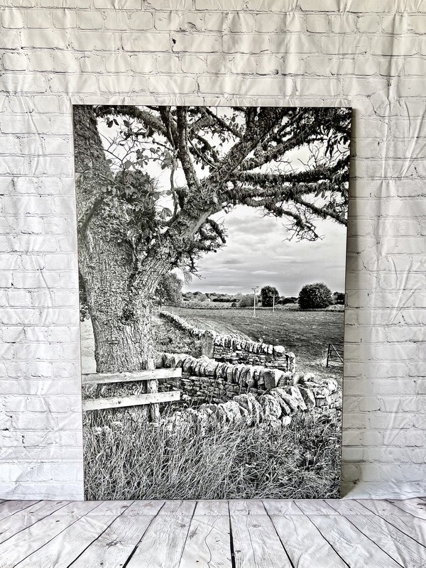 Scotland Fields Print