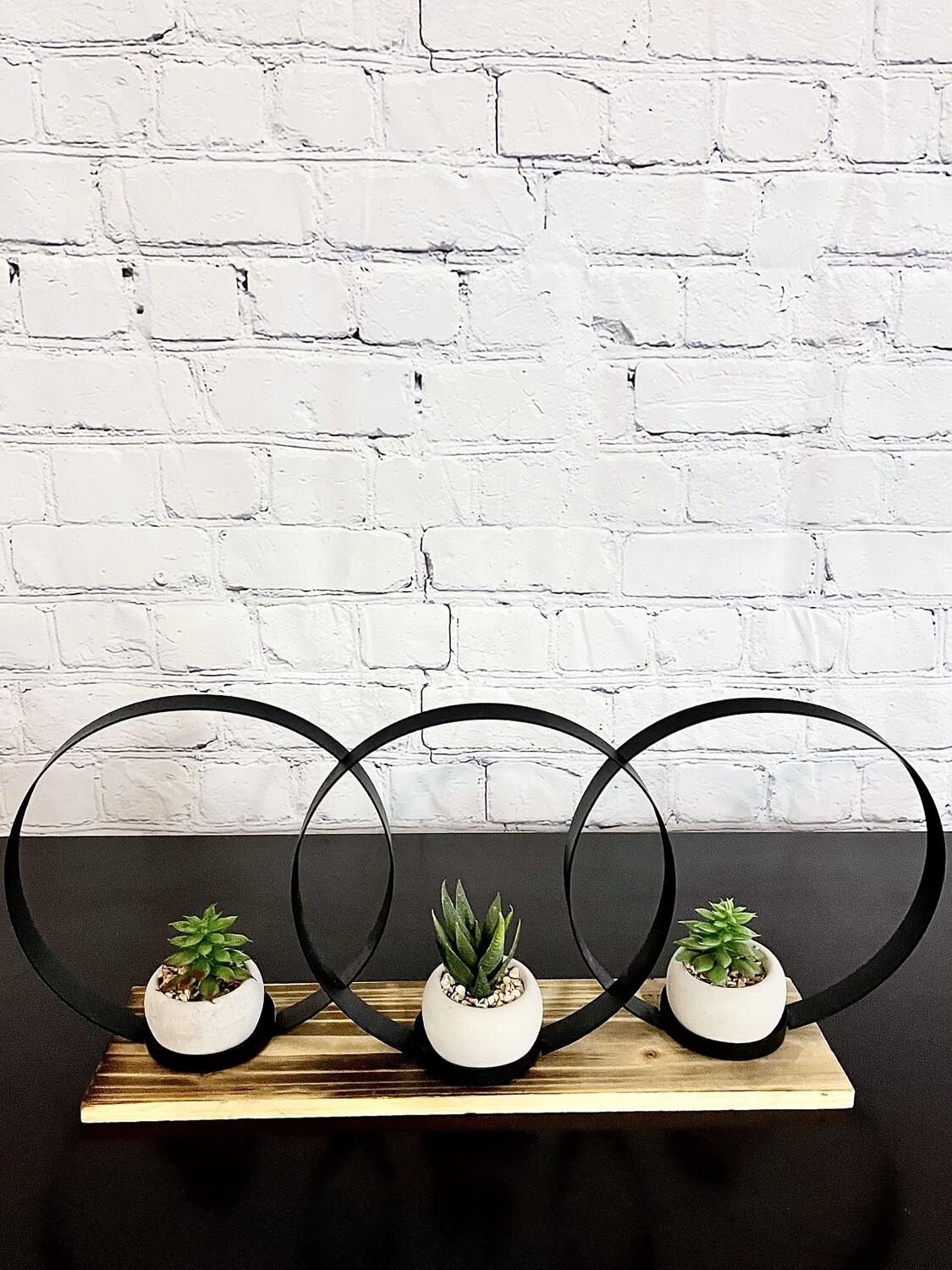 Black Hoop Decor w/ Succulents