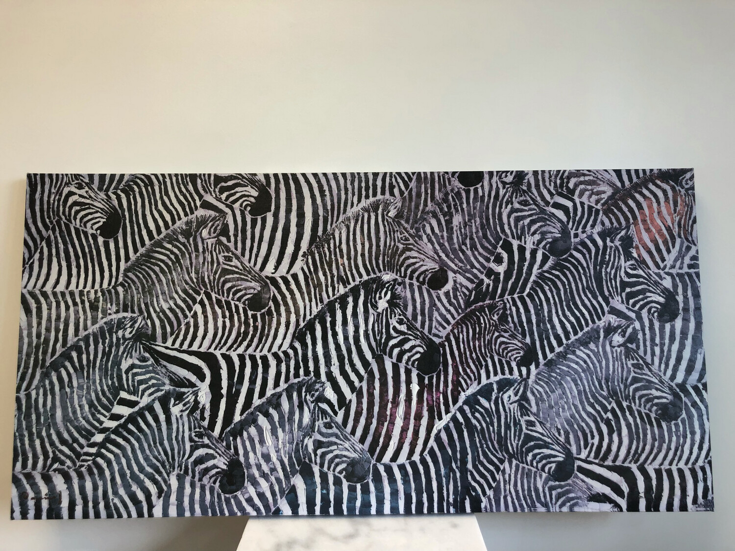 Zebra Print