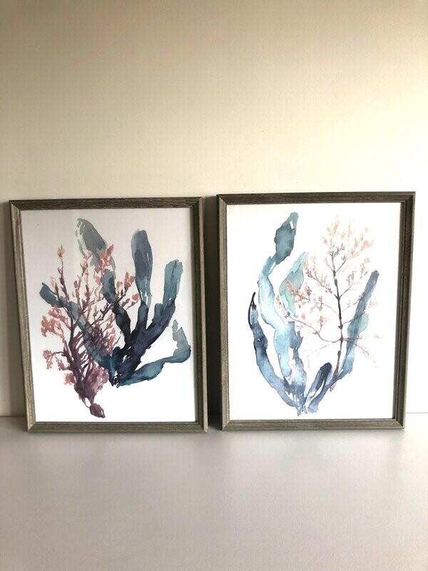 Wood Framed Coral Art - Set Of 2
