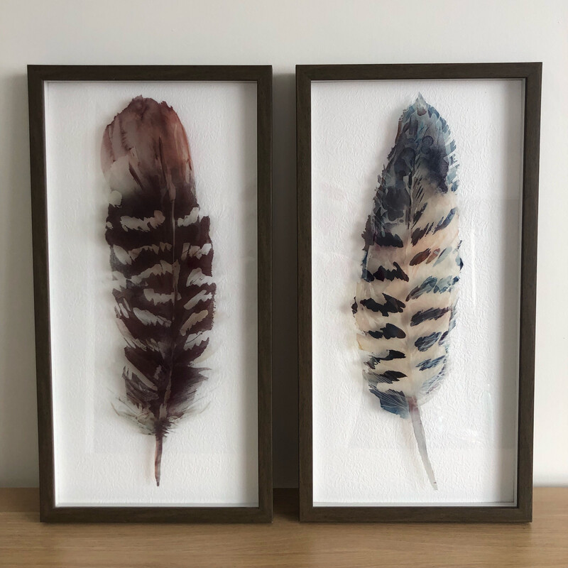 Feather Art - Set Of 2