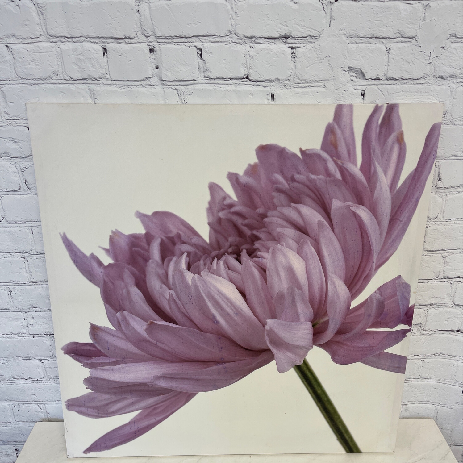 Purple Flower Abstract Canvas