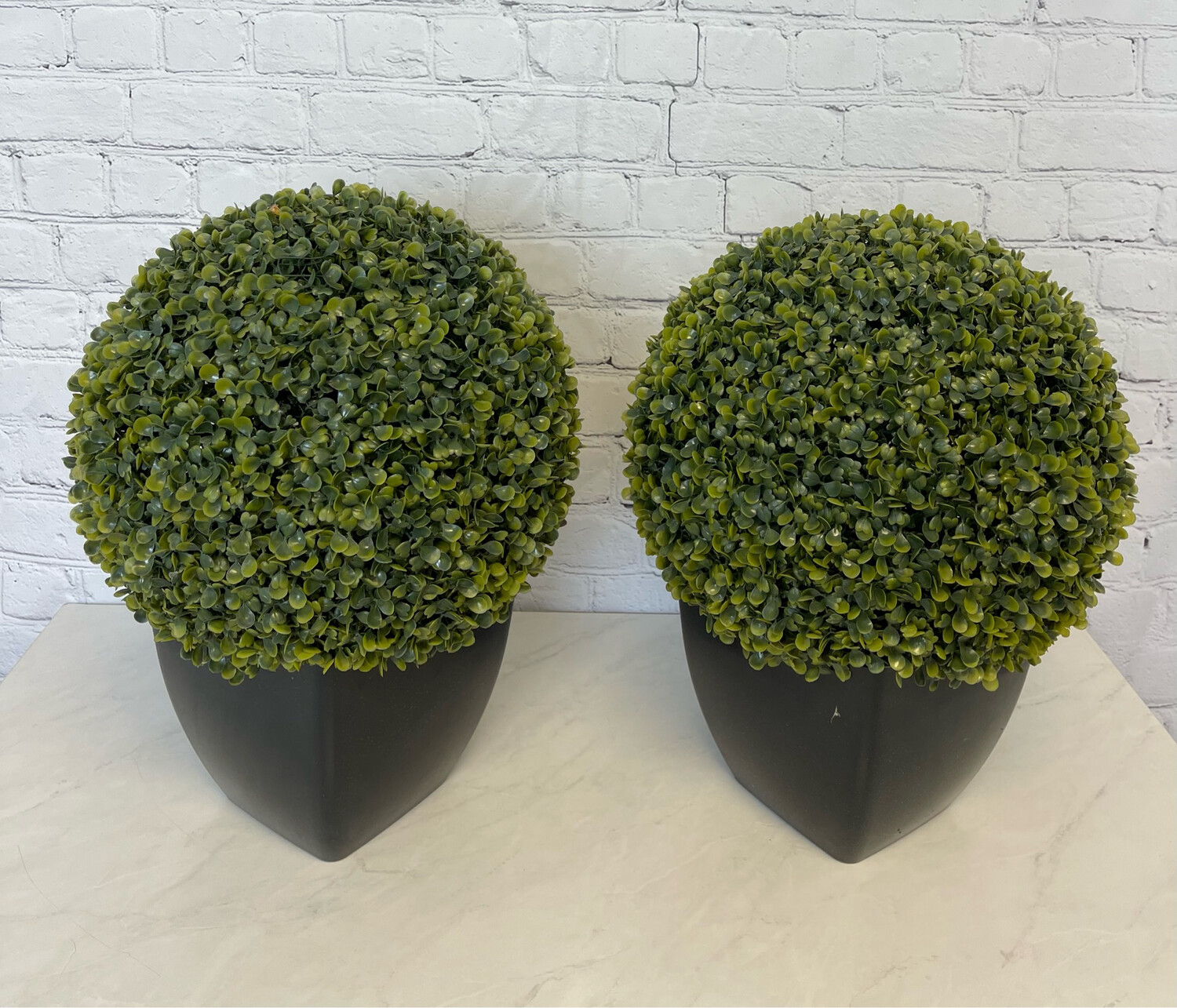 Indoor/Outdoor Floor Plant - Set Of 2