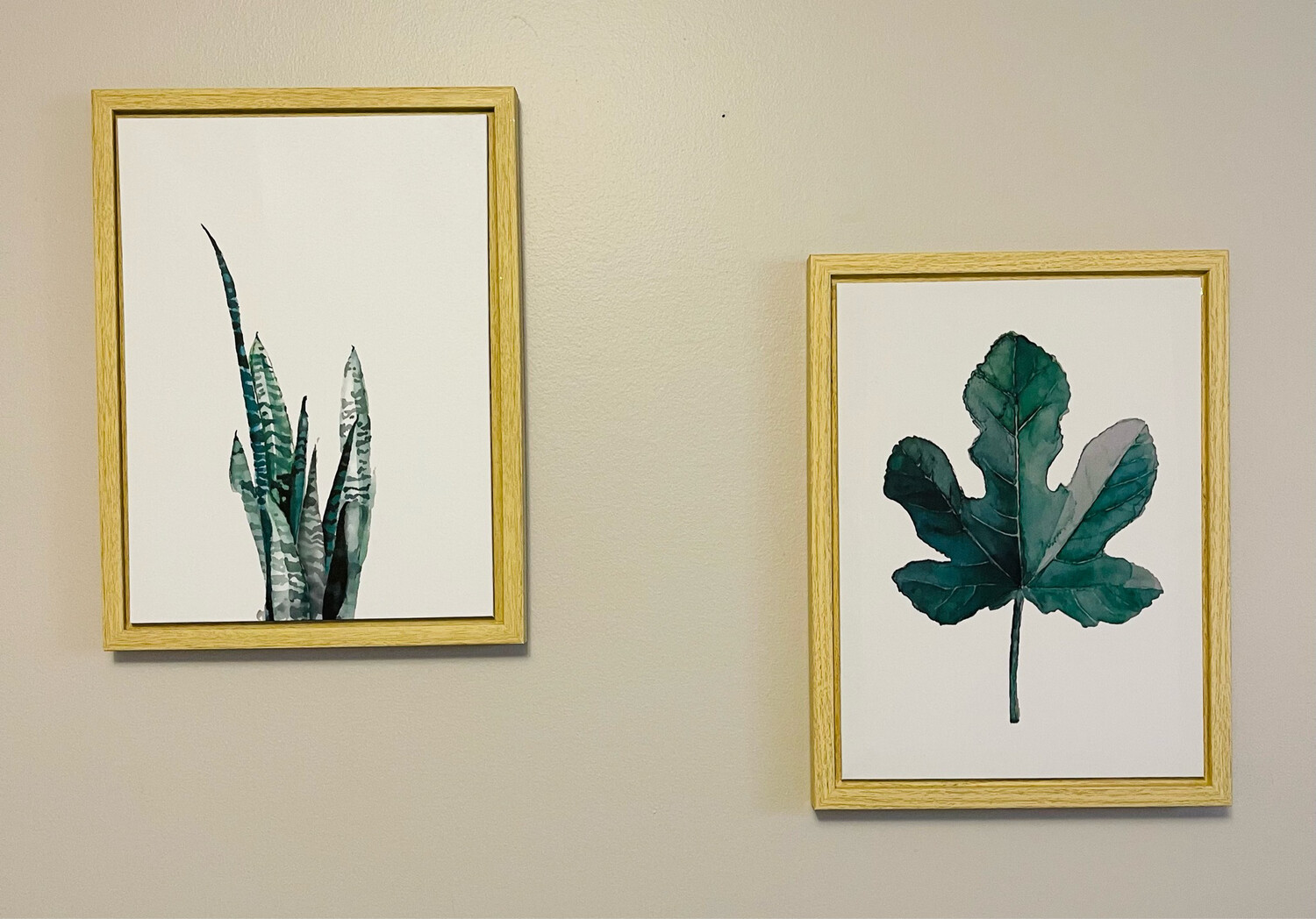 Plant Framed Canvas - Set Of 2