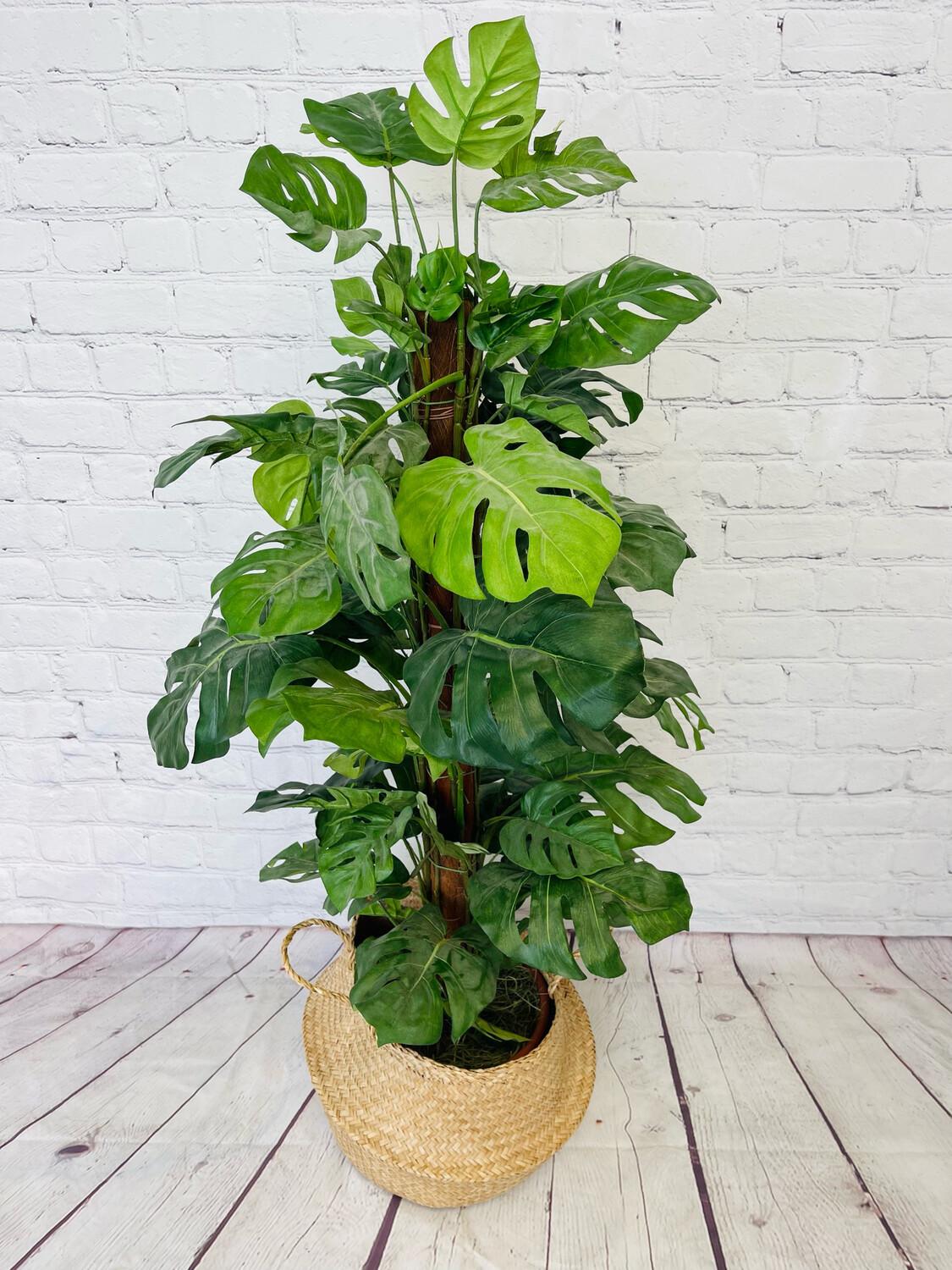 Wicker Monstera Floor Plant